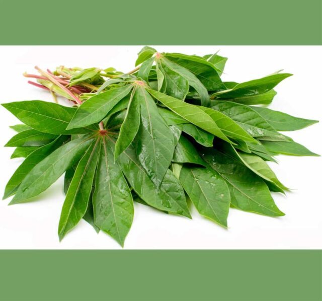 Health Benefits of Cassava Leaves