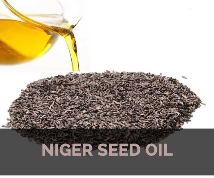 Benefits of Niger Seed Oil