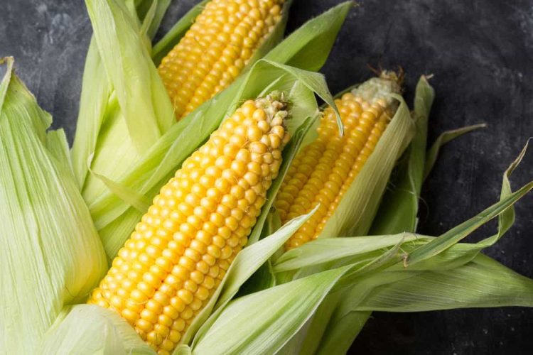 is corn keto